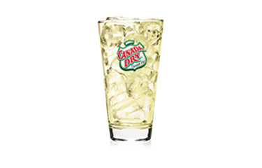 Ginger Ale 16oz